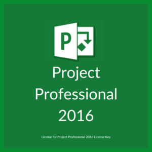 Project professionel 2016